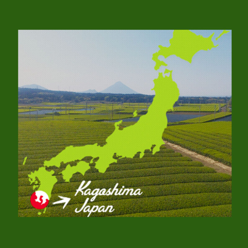 Kabuse Cha - Thé du Japon – Image 2