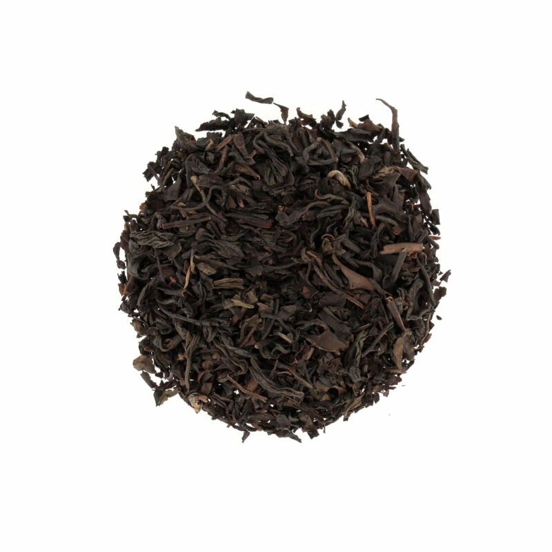 Tarry Crocodile Souchong