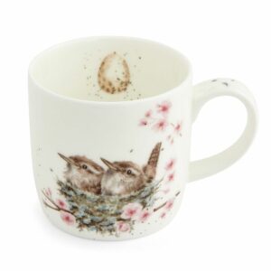 Mug Oiseaux "Feather your Nest"